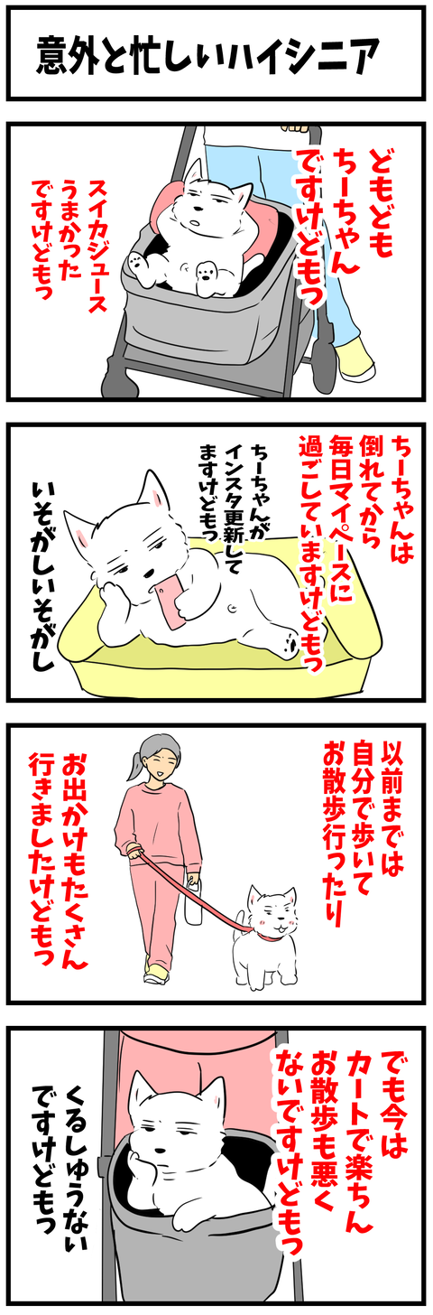 ちーちゃん974