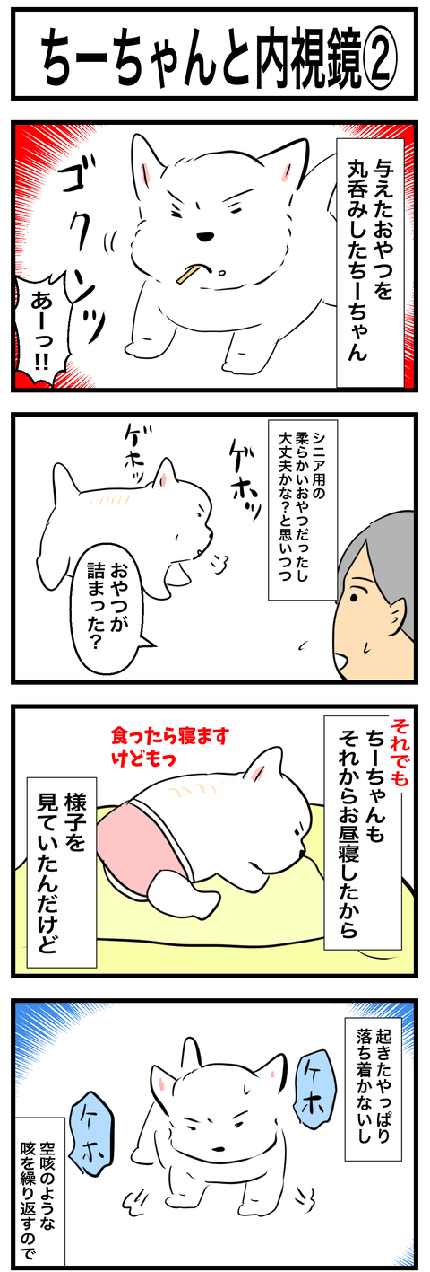 ちーちゃん758