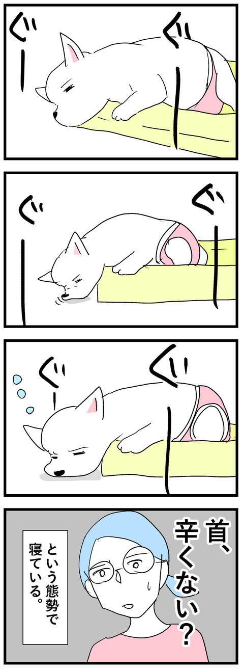 ちーちゃん216-2