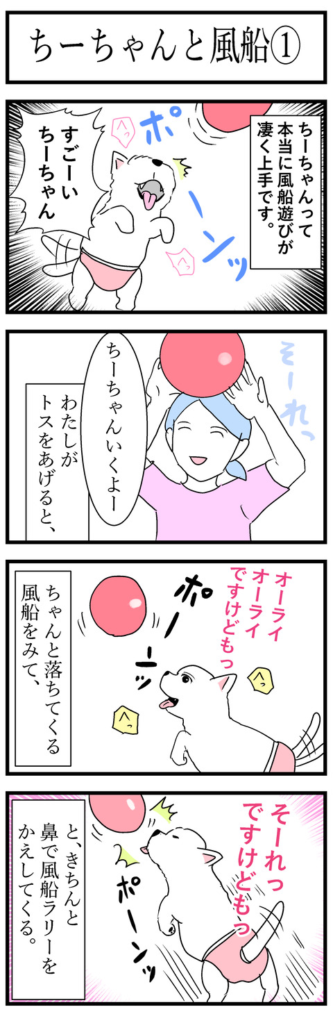 ちーちゃん67-1