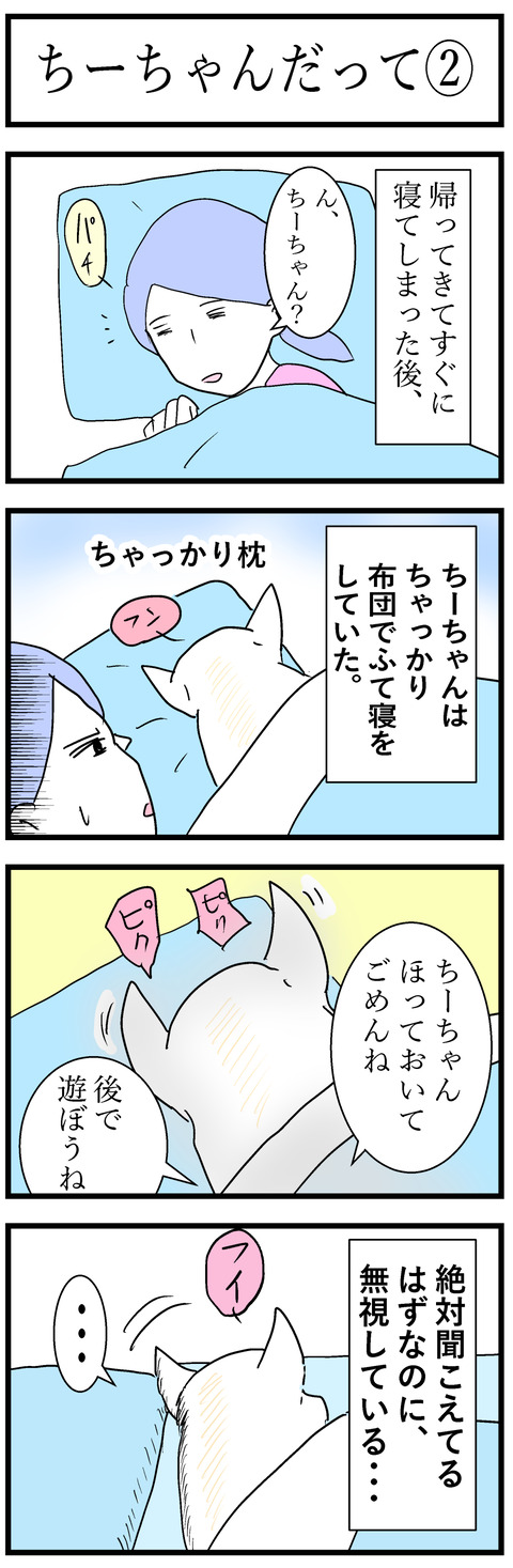 ちーちゃん100