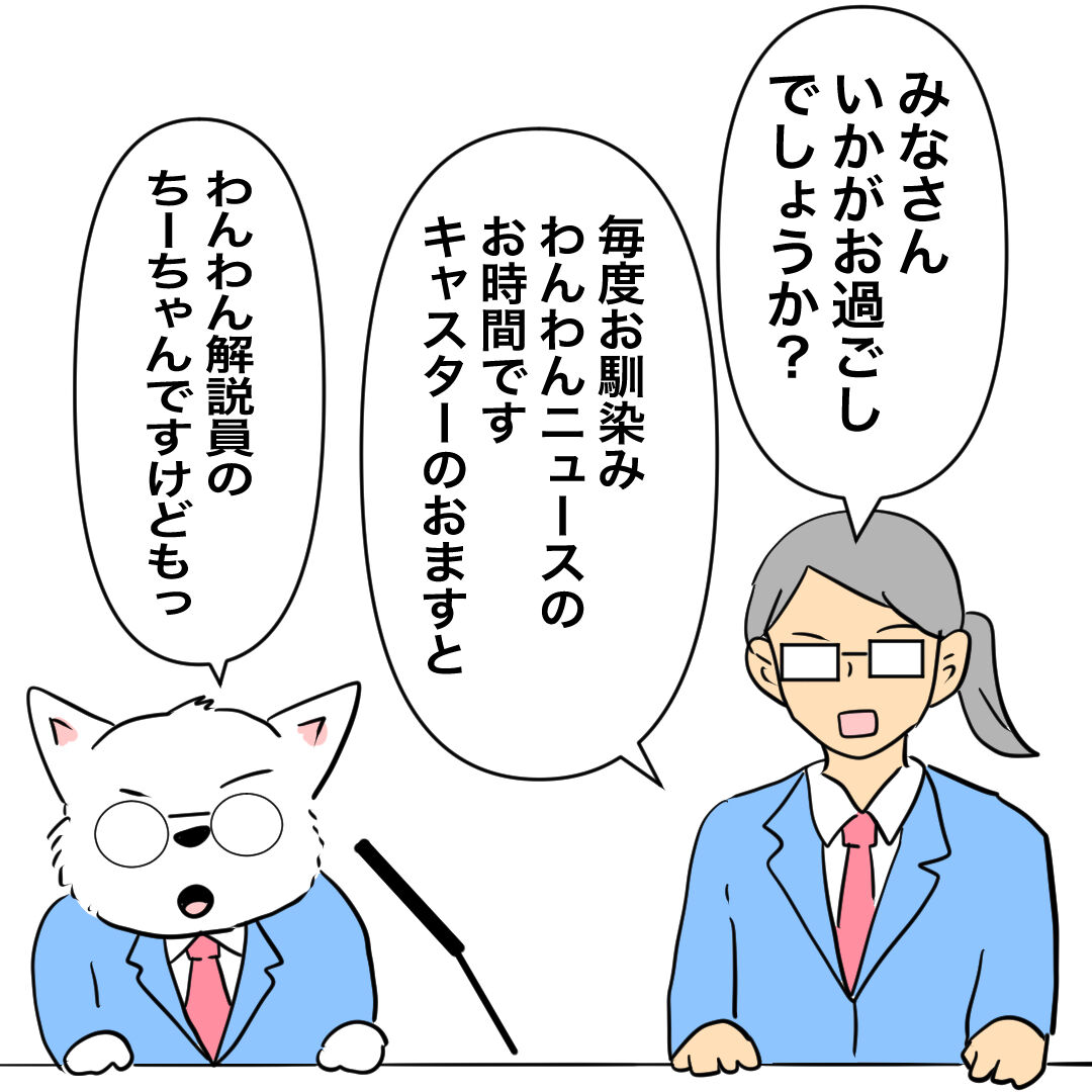 🐶速報!!わんわんニュース‼️ : ちーちゃんっ🐾