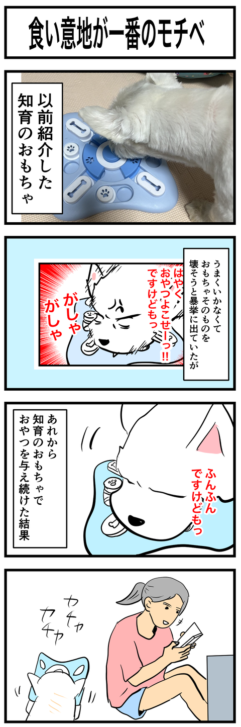 ちーちゃん655