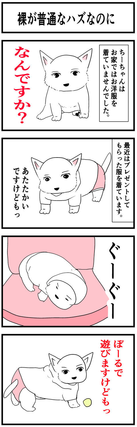 ちーちゃん442-1