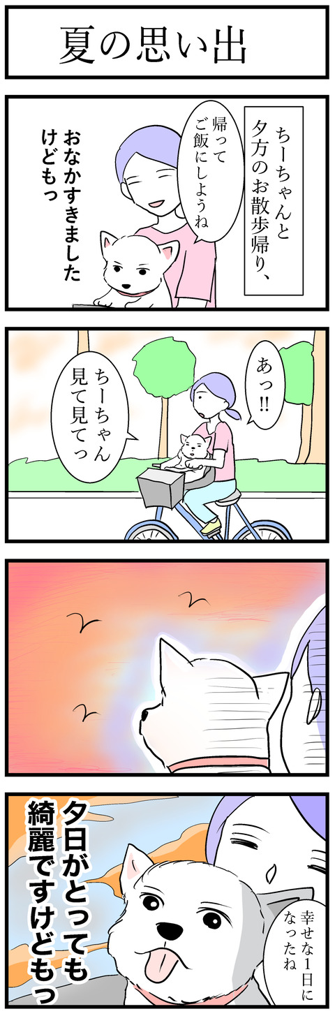 ちーちゃん