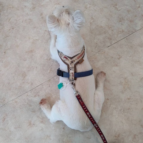 2D5E641A-F6F7-4525-A9D3-4EDDE988C9A8