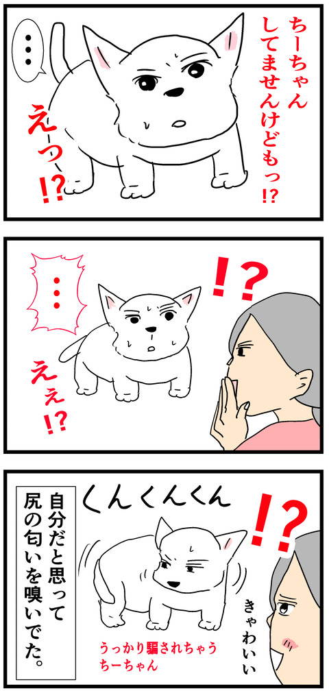 ちーちゃん485-2