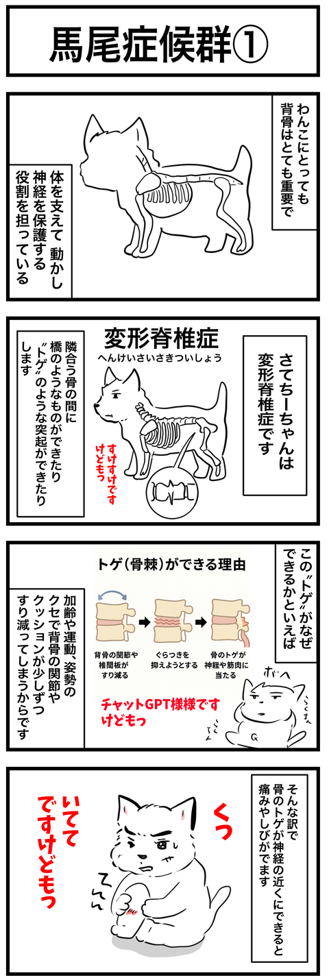 ちーちゃん764