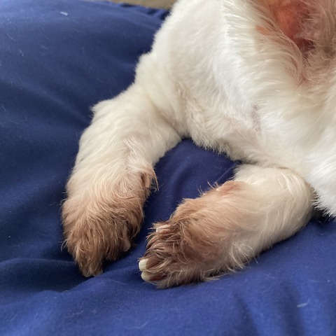 275782D5-A135-4C86-8880-70195CB2A392