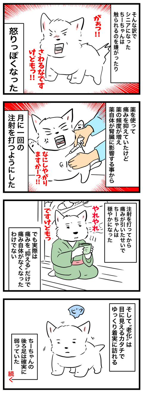 ちーちゃん764