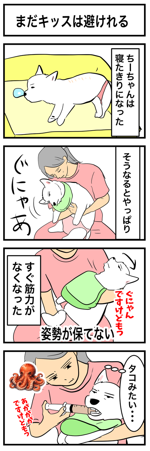 ちーちゃん975