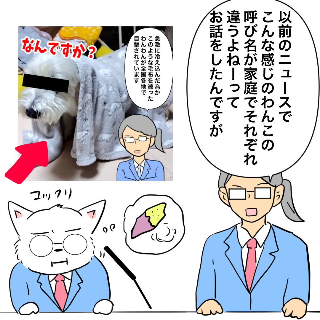 わんこ ー る 速報