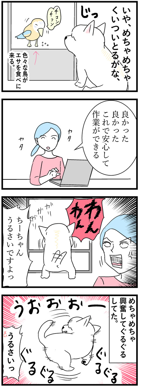 ちーちゃん131-2