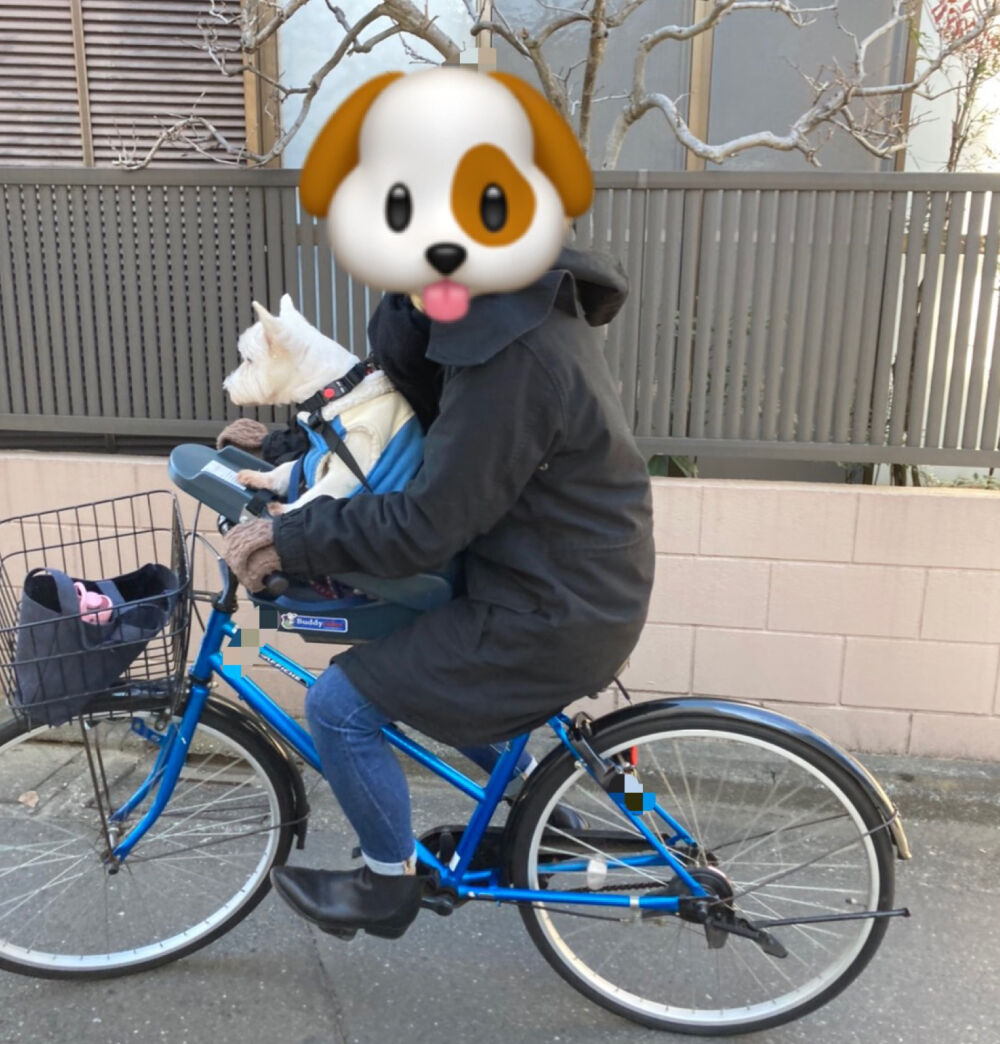 ちーちゃんを自転車に乗せる為に : ちーちゃんっ🐾