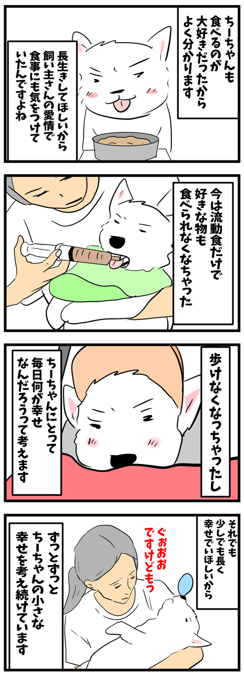 chizu369