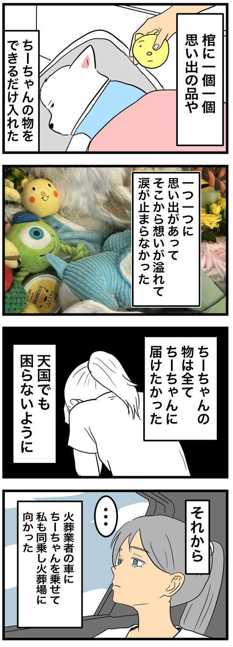 ちーちゃん5-1