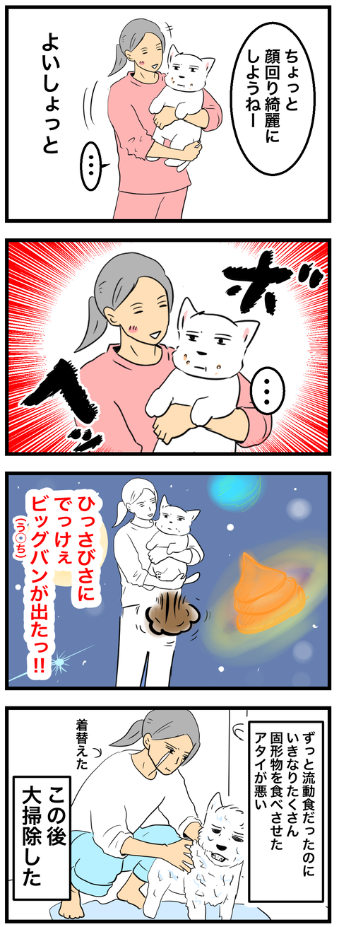 ちーちゃん968