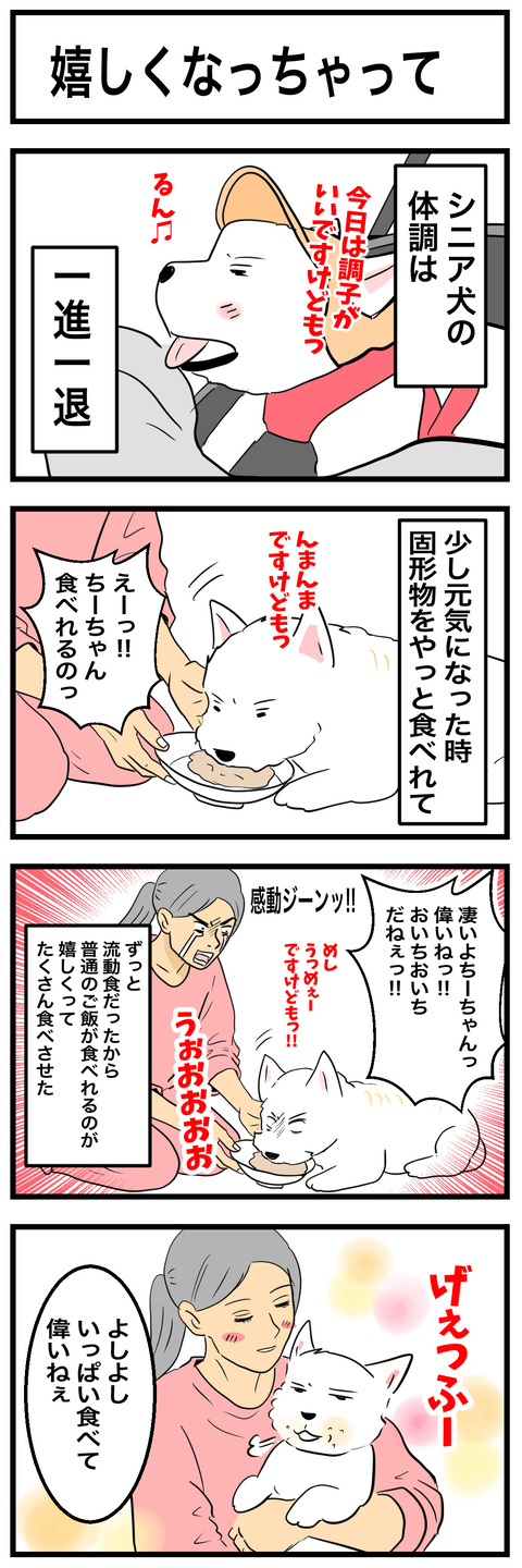 ちーちゃん968