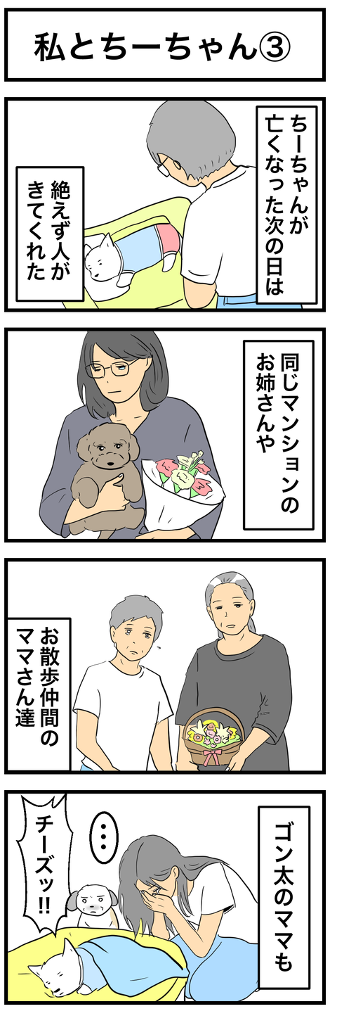ちーちゃん3-1