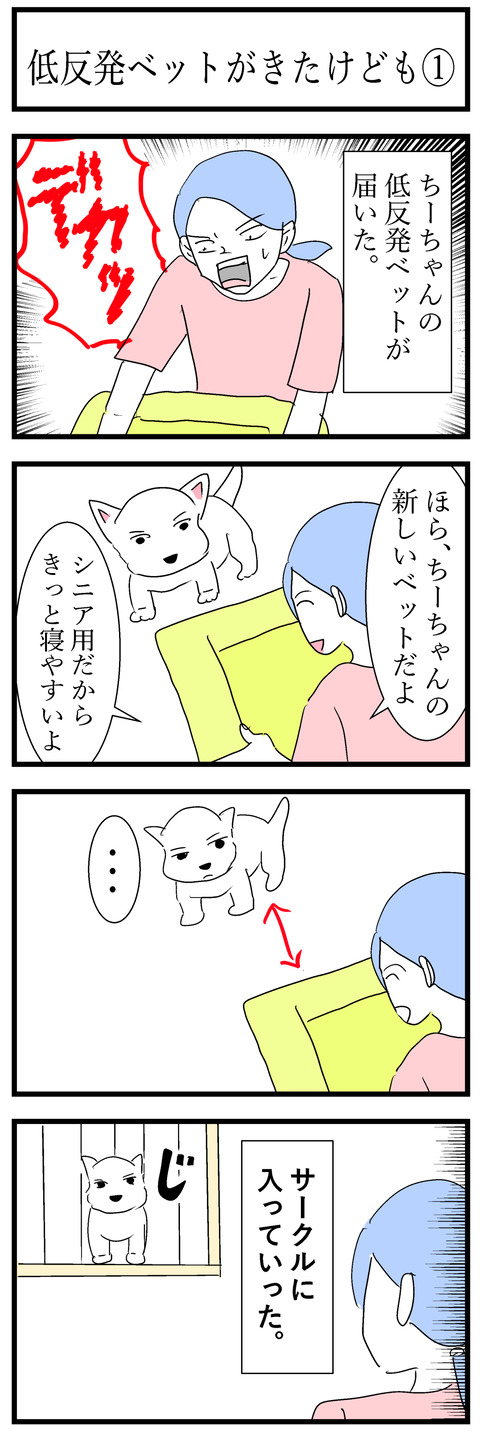 ちーちゃん149-1