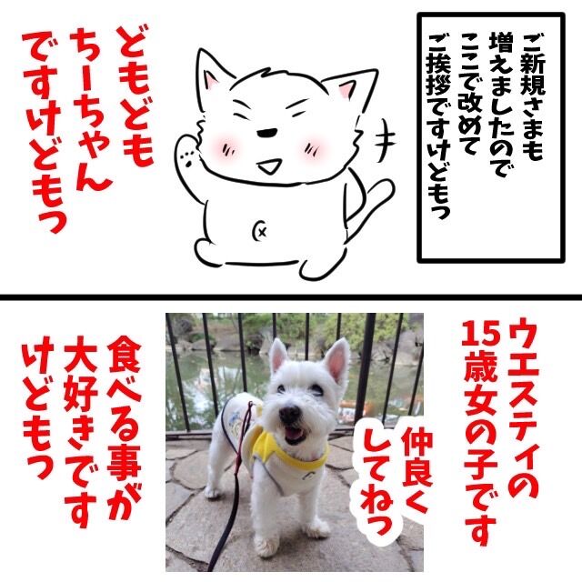 ちーちゃんです。 ちーちゃんですけどもっ【第1話】「ちーちゃんですけどもっ