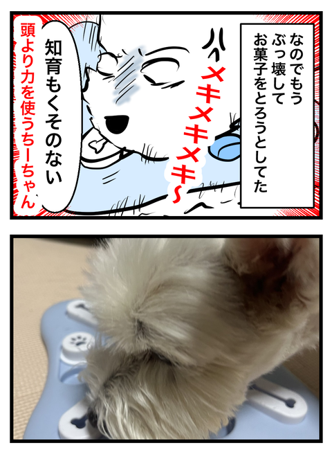 コミック6 4