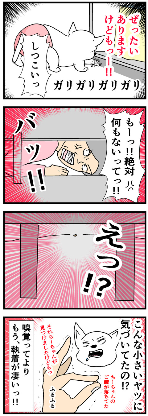 ちーちゃん481-2