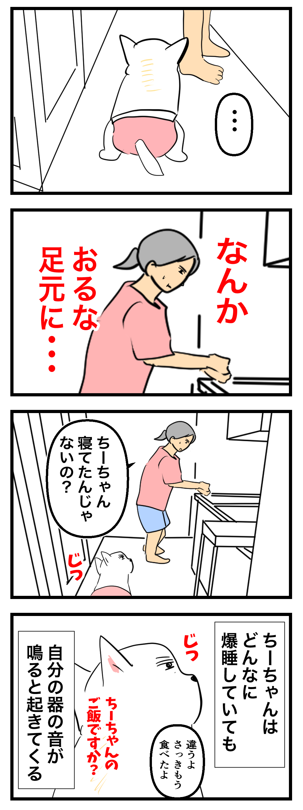 🐶ちーちゃんが反応する音🐾 : ちーちゃんっ🐾