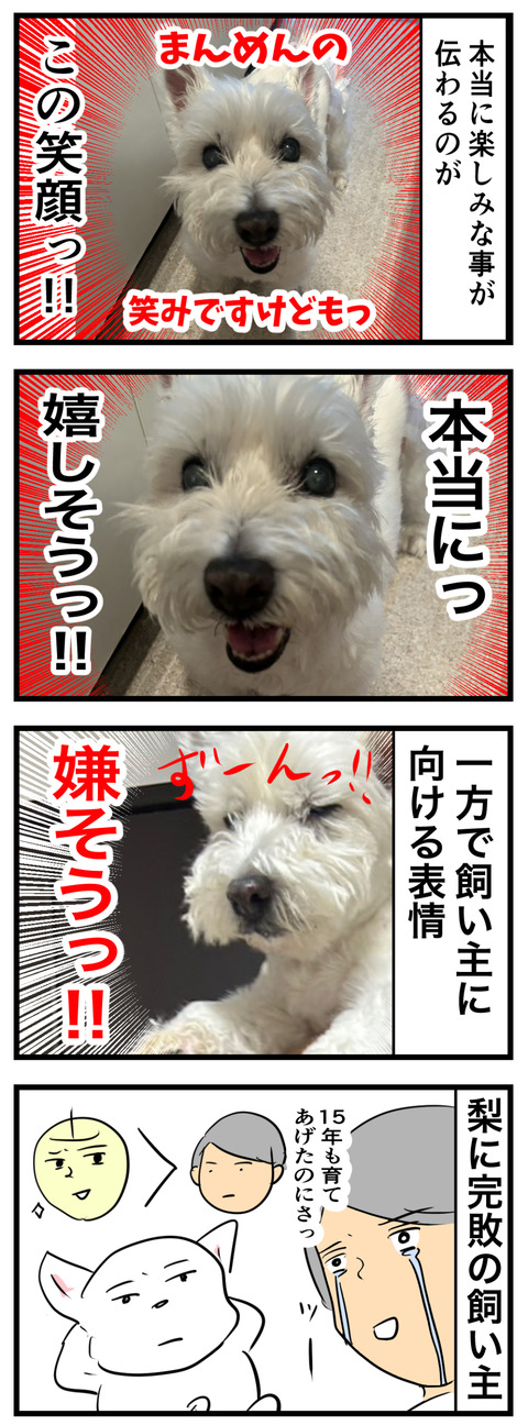 ちーちゃん691-2