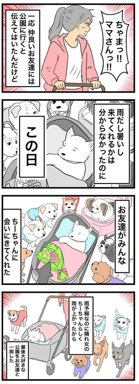 ちーちゃん4-2
