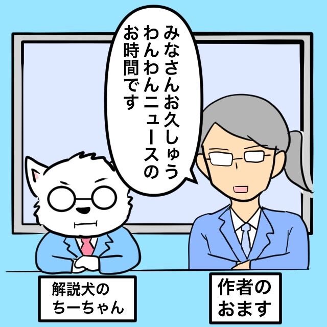 🐶お久しゅうわんわんニュース🐾 : ちーちゃんっ🐾