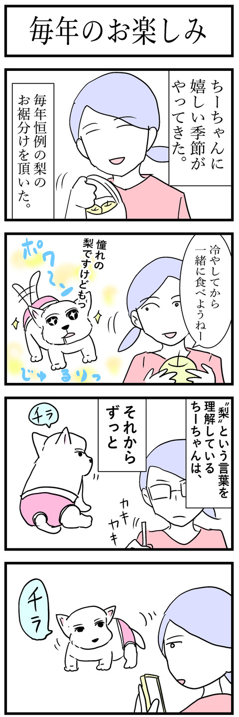 ちーちゃん130-1