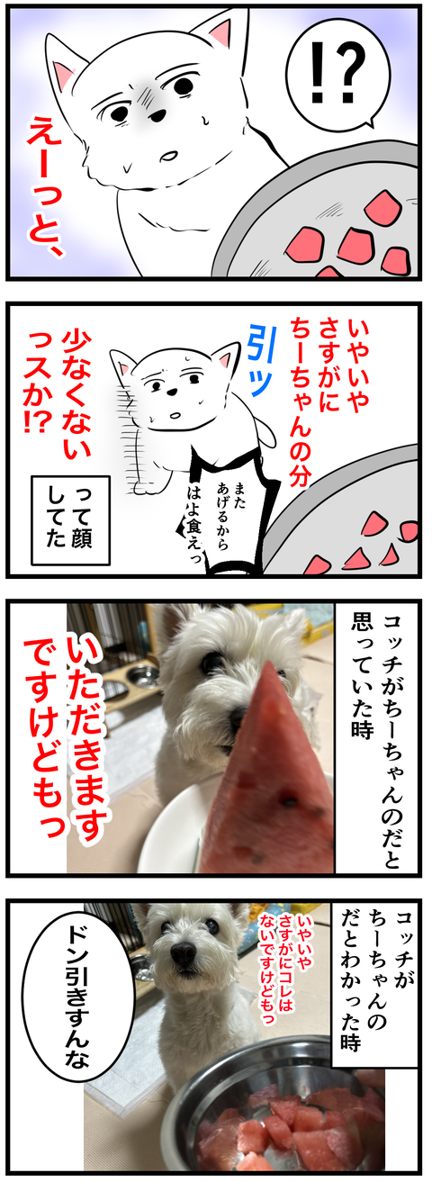 ちーちゃん521-2