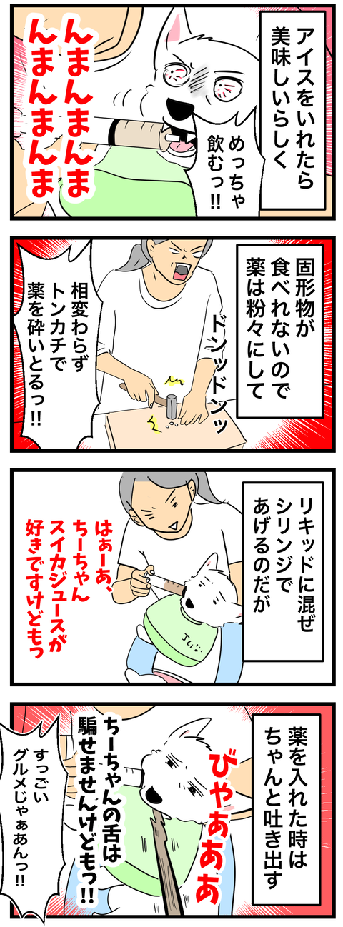 ちーちゃん978