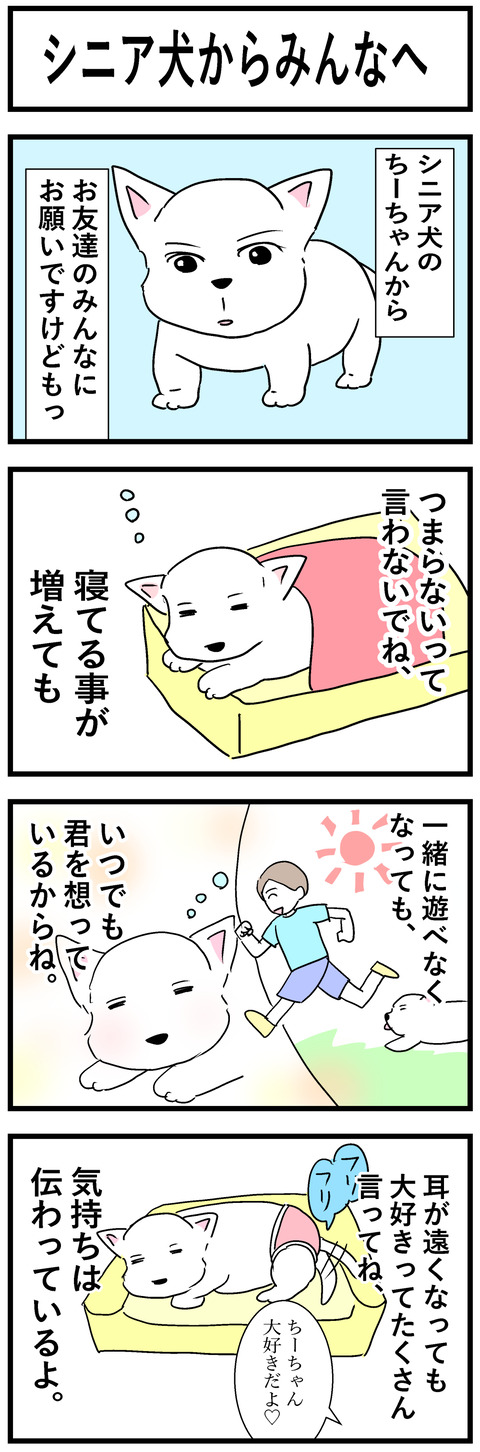 ちーちゃん155-1