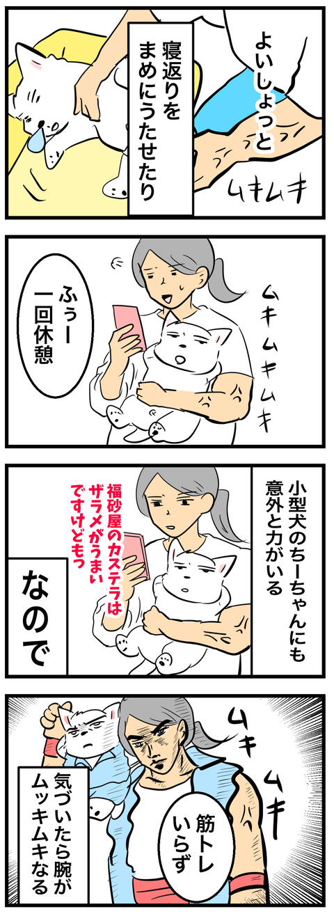 ちーちゃん976
