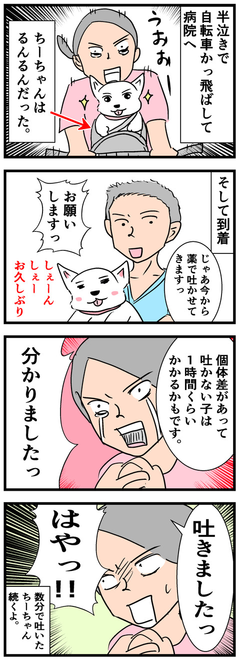 ちーちゃん400-2