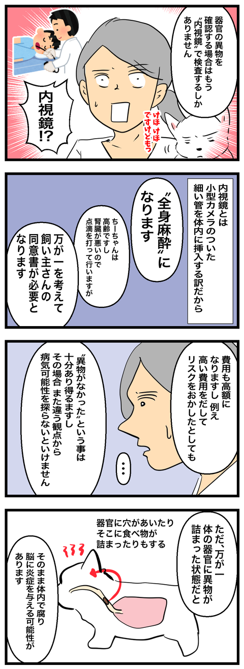 ちーちゃん758-2
