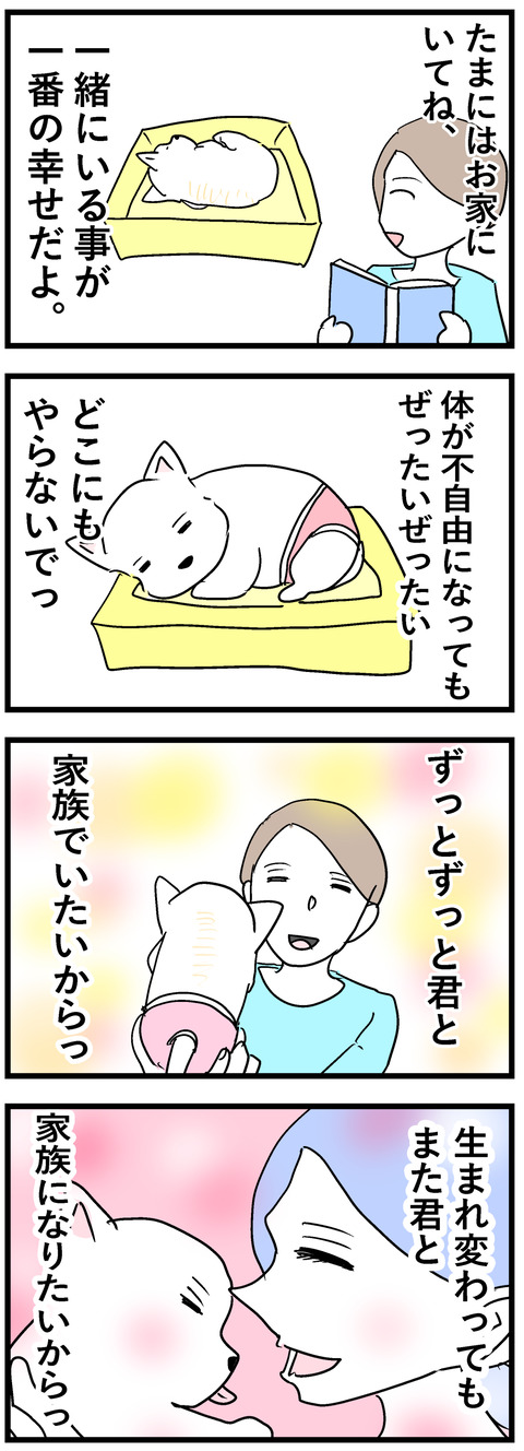 ちーちゃん155-2
