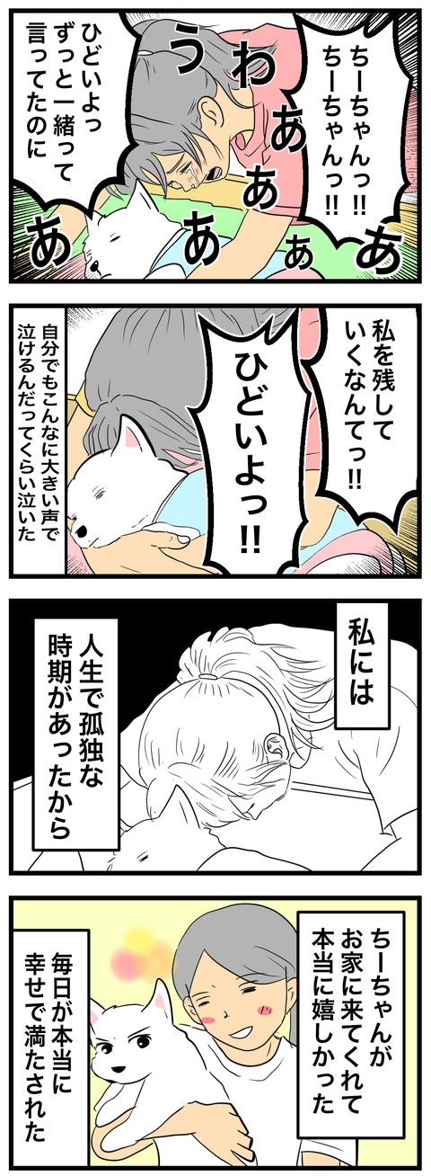 ちーちゃん6-1