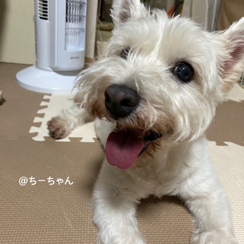 1069226B-DB6C-40A2-948A-D7BD0A1DE8A6