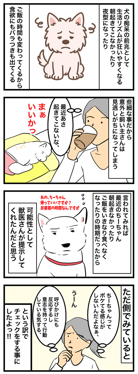 ちーちゃん893-2