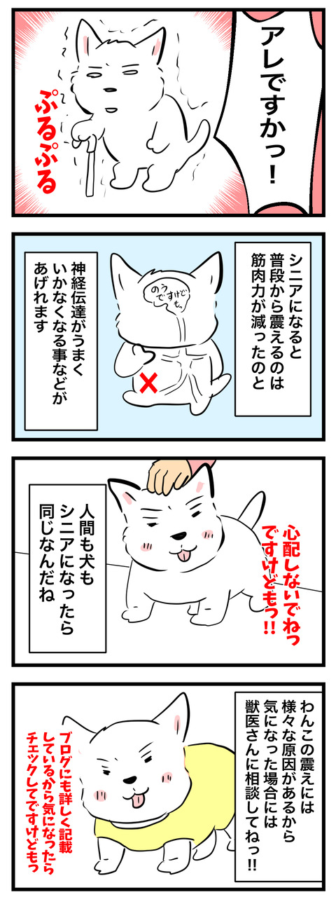 ちーちゃん895-2