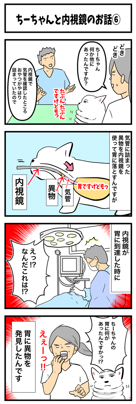 ちーちゃん760
