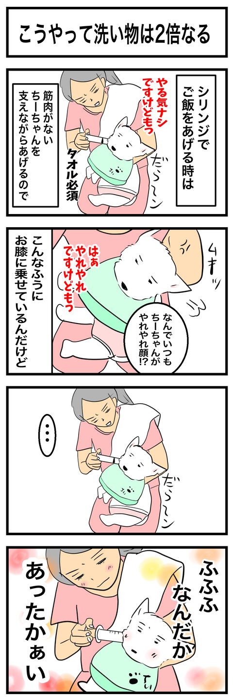 ちーちゃん979