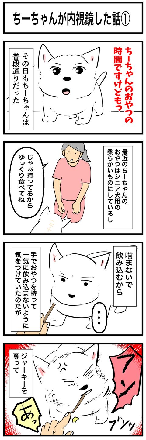ちーちゃん757-1