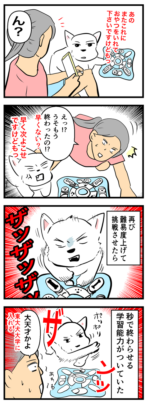 ちーちゃん655 3