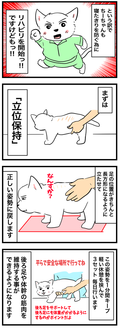chizu770