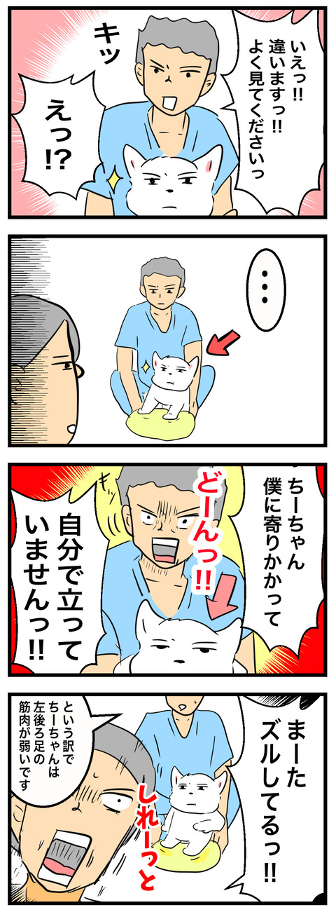 ちーちゃん892-2