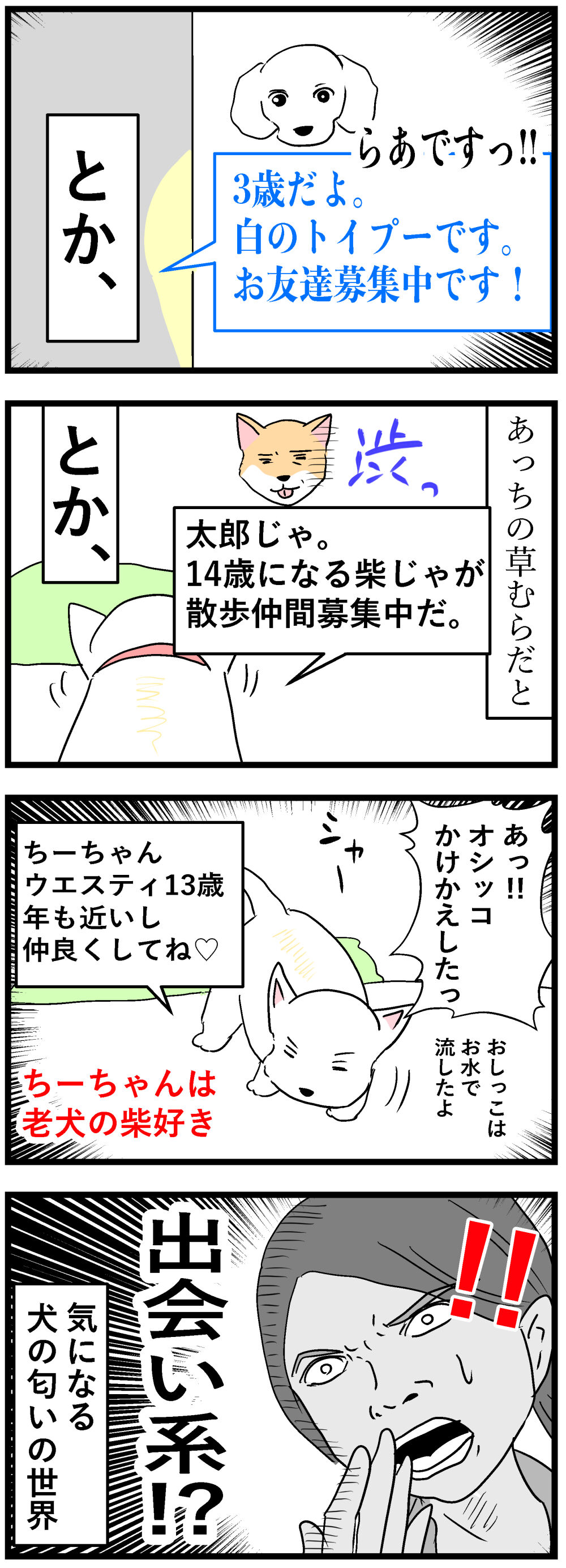 匂いを嗅ぐのが大好きな訳 ちーちゃんっ